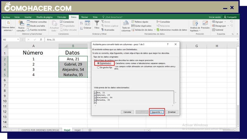 Captura que muestra la opción delimitados de Excel